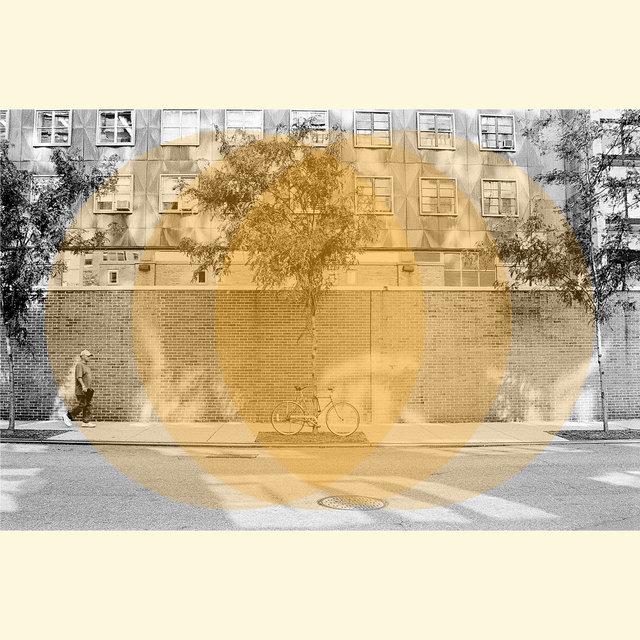 Constructivist's Diary 01, 2014
