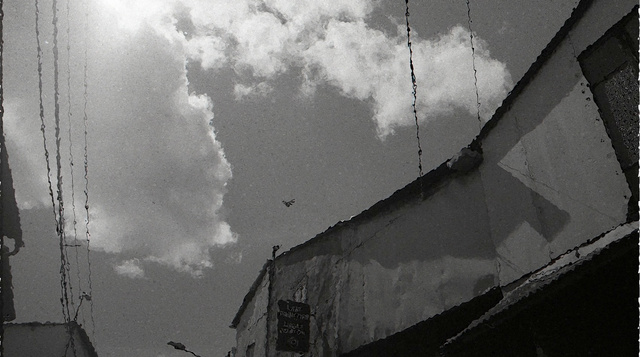 "Everything, everything seemed once-upon-a-time." Haruki Murakami