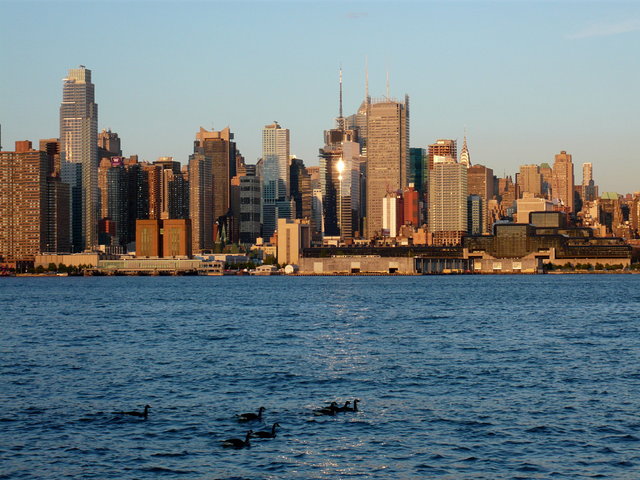 Manhattan with Canada Geese (4) VB.JPG