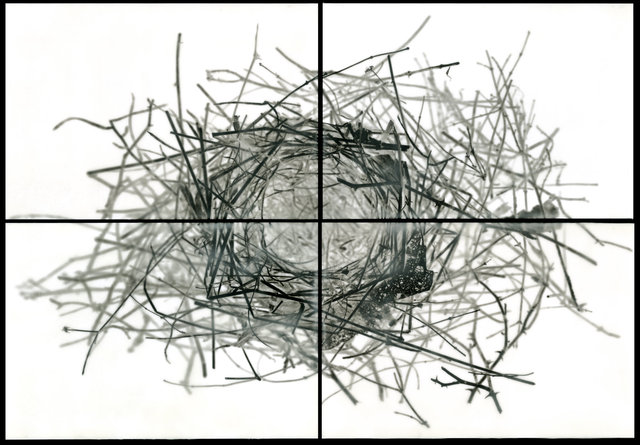 Nest IV