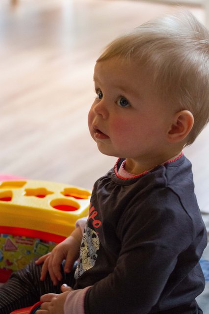 Fenna 22dec12-13.jpg