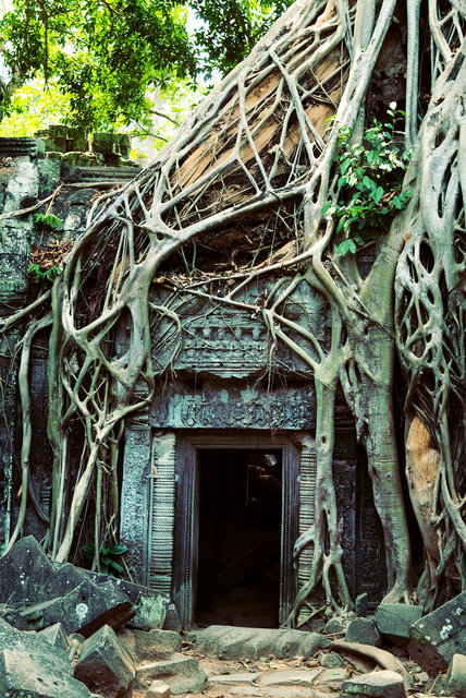 Ta Prohm I