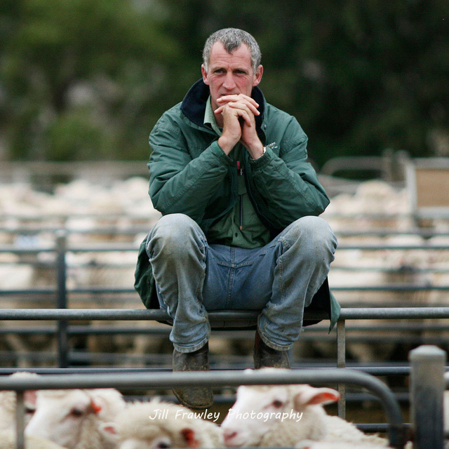 The-Lamb-Market---Deep-in-thought.jpg