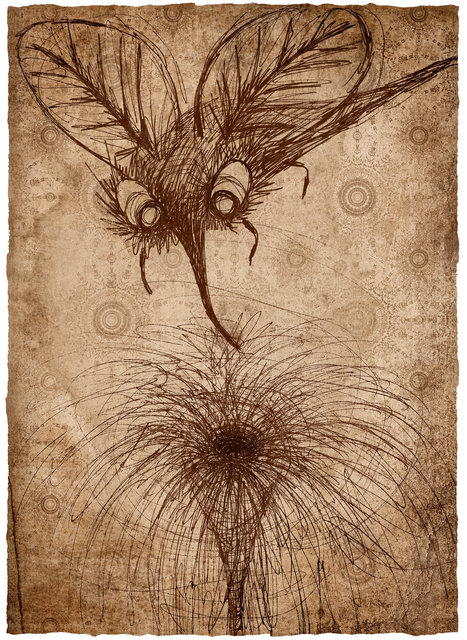 Pollination