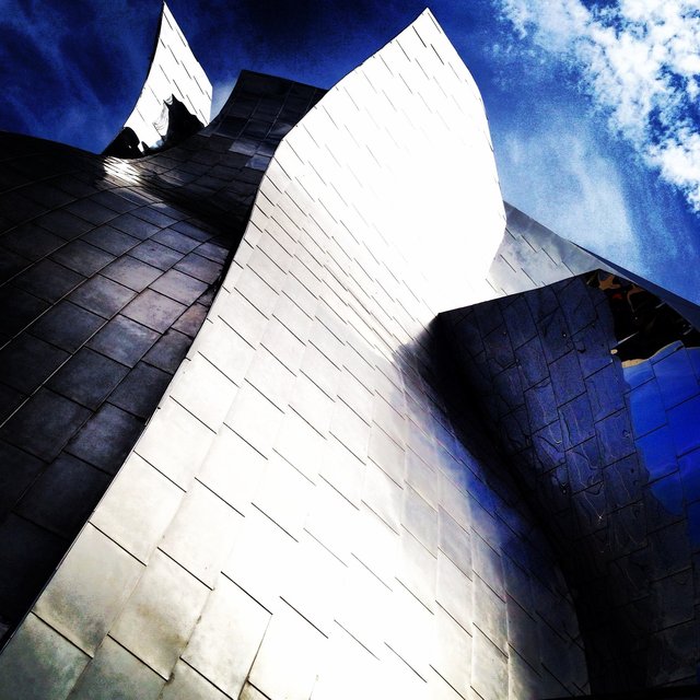 WALT DISNEY CONCERT HALL - SILVER 3