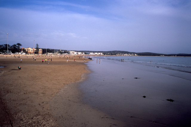 0647_beach_cm_di.jpg