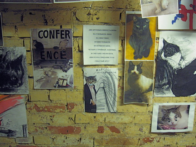 DSCN5614.JPG