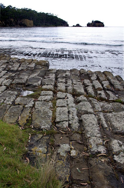 Tessellated Pavement Forestier Peninsula (23) VB.JPG