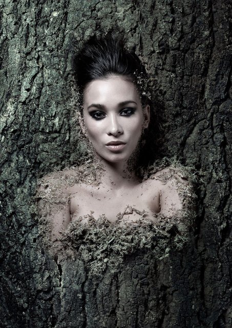 Human Tree (3 of 3)