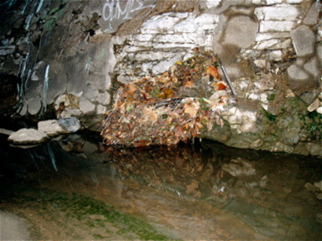 RiverDesPeres35.jpg