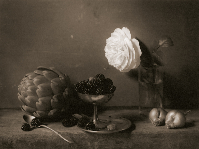 Artichoke & Rose, c 2003