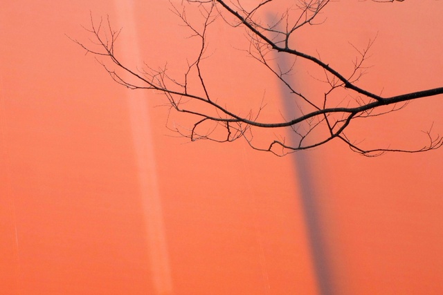 Ton van Bragt: Autumn Finale