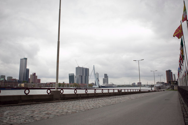 _MG_8980.jpg