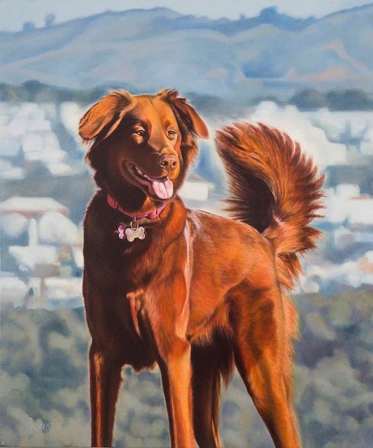 Breed: Rescue / Scarlett