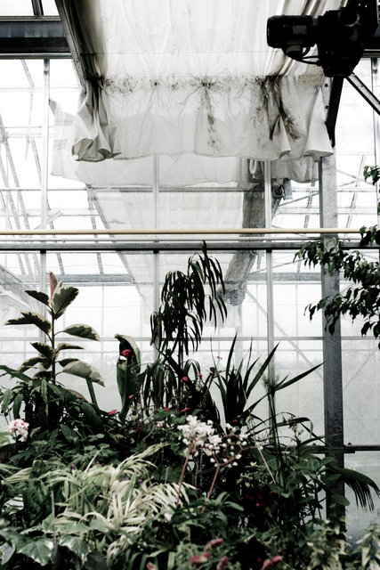 ALM00070_2012CL1813 copie.jpg