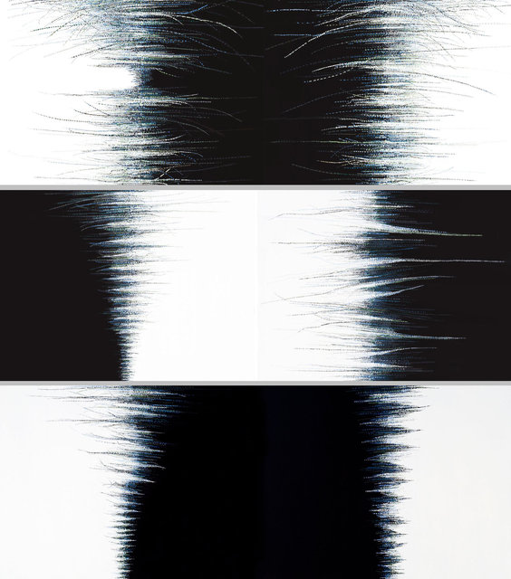 Oscillation