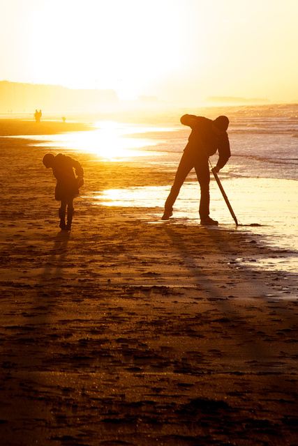 Sunset worm collector 