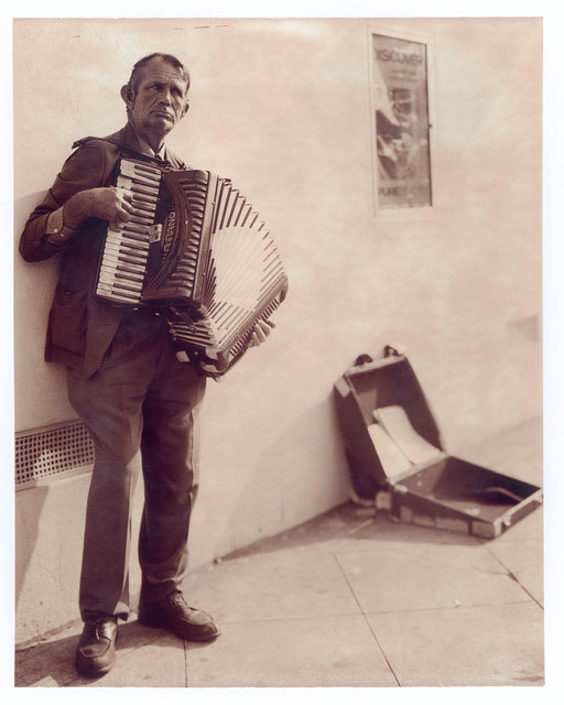 accordion.jpg
