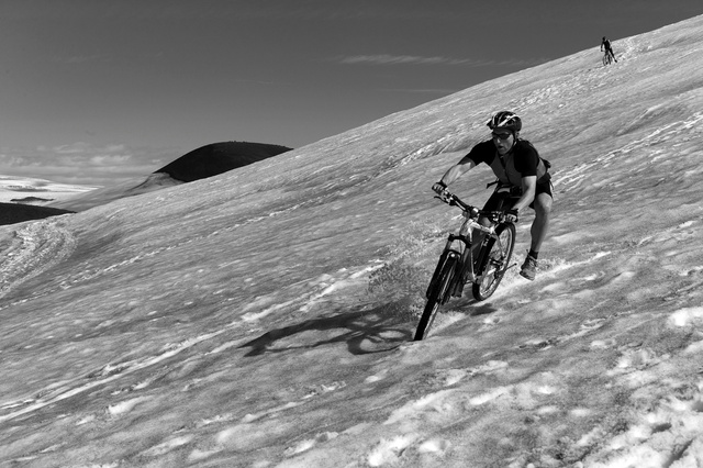 L1013558gs_1500px.jpg