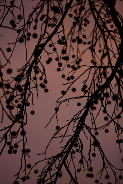 Storm Light
