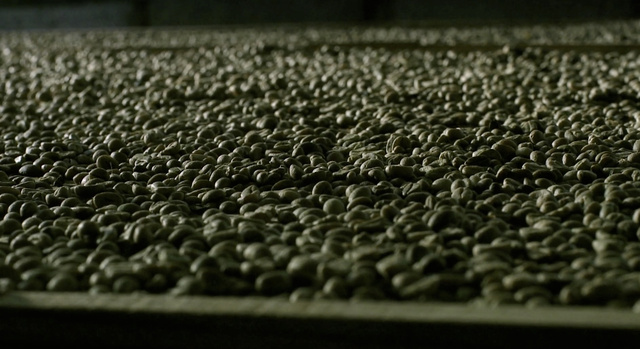 MELiTTA Selection des Jahres 2012
