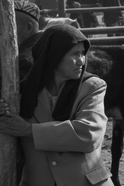 The Uyghurs, Western China