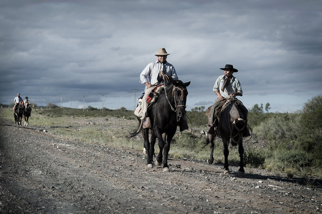 Argentine Gauchos