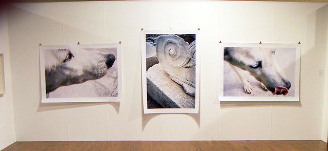 Florica Kyriacopoulos, Eleusis series: Serious Dog, Dioskouri, Hungry Dog, 2003