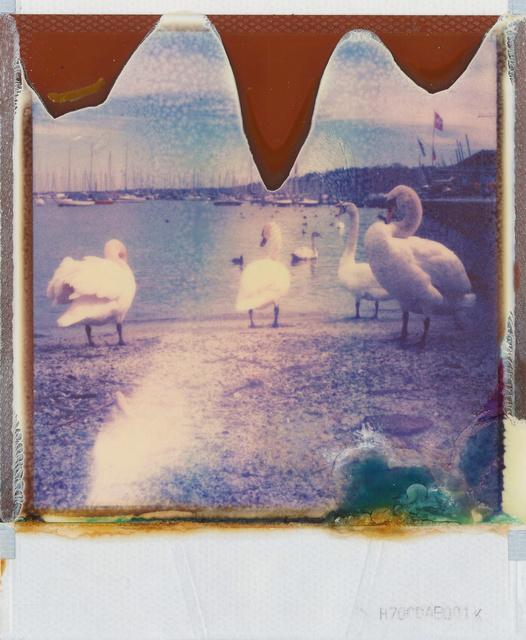 Geneva (Switzerland)