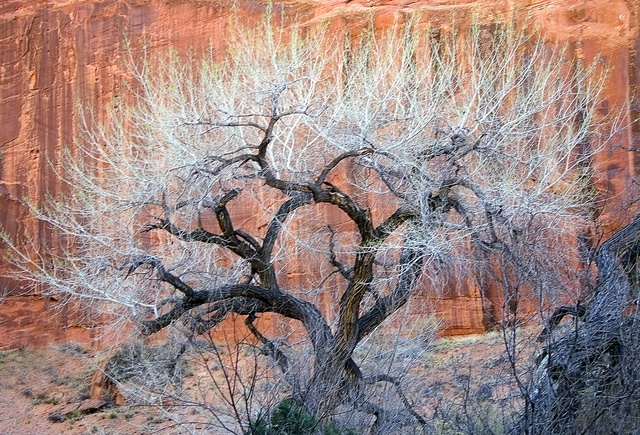 Escalante, Utah