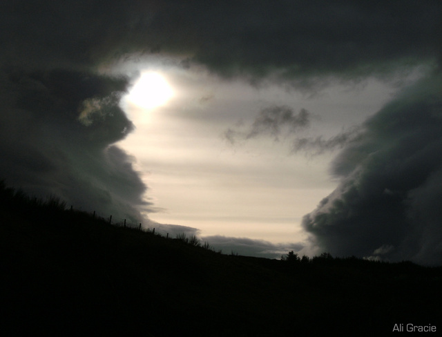 Storm Closing In by Alison Gracie