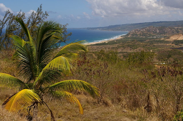 East Coast from Cherry Tree Hill VB.JPG